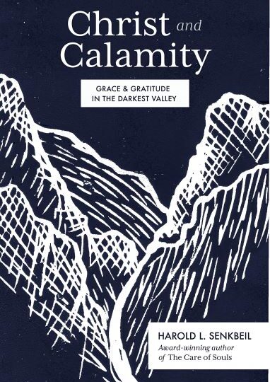 Christ and Calamity: Grace and Gratitude in the Darkest Valley cover